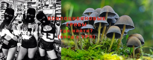 амфетамин Осташков