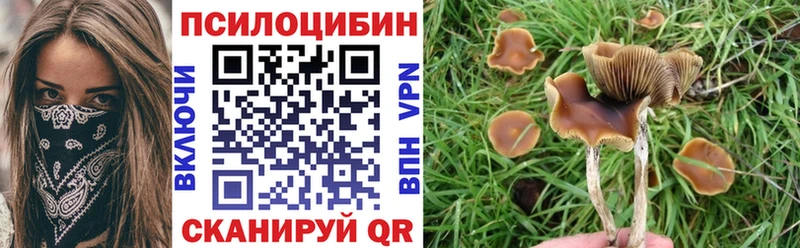 Купить  Яранск  Галлюциногенные грибы Psilocybine cubensis 